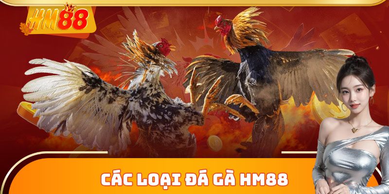 Các loại đá gà HM88