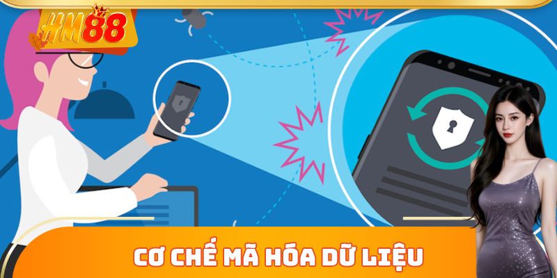 Cơ chế mã hóa dữ liệu