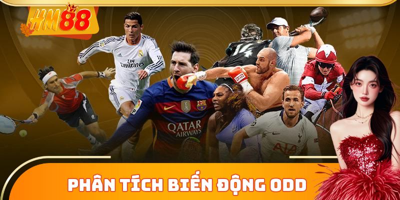 Phân tích biến động odd chuyên sâu