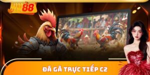 Đá Gà Trực Tiếp C2