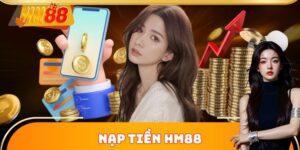 Nạp Tiền HM88
